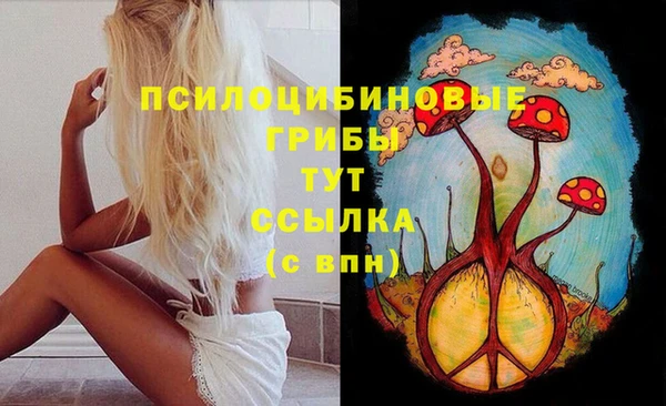 шишки Верхнеуральск