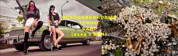 каннабис Верея