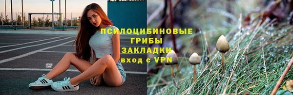 каннабис Верея