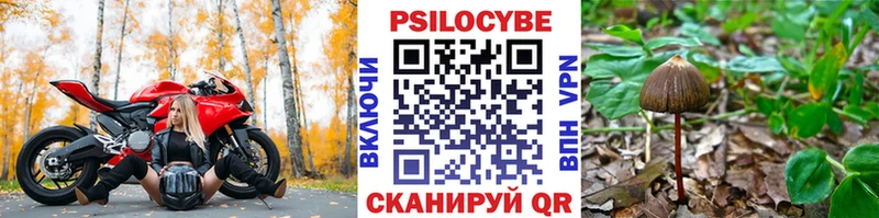 Купить закладки  Карасук  Галлюциногенные грибы мицелий 